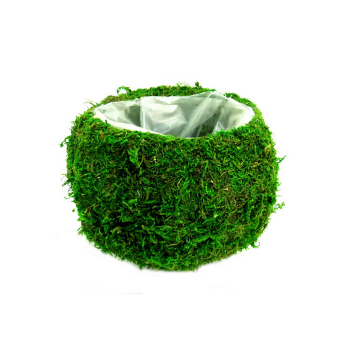 Columbine Ballvase - A Unique Touch for Your Interiors!
Elevate your space with the stylish and versatile Columbine Ballvase!
Waterproof and perfect for indoor use
Rotund shape creates a stunning centerpiece for any room
Generous dimensions: 20cm x 20cm x 14cm
Plenty of space to fill with woven moss or other decorative elements
Add a Touch of Elegance!
Perfect for living rooms, dining rooms, or offices
Unique and stylish design that adds a personal touch
Easy to care for and maintain
Get Yours Today!
Size: