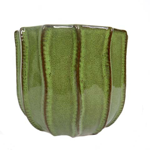 Introducing the Terrain Pot
Elevate Your Gardening Style with This Expertly Crafted Planter
Take your gardening to the next level with our stylish and durable Terrain Pot. Measuring 18cm in diameter and 15cm in height, this expertly crafted planter is perfect for showcasing your favorite plants and adding a touch of elegance to your home or garden.