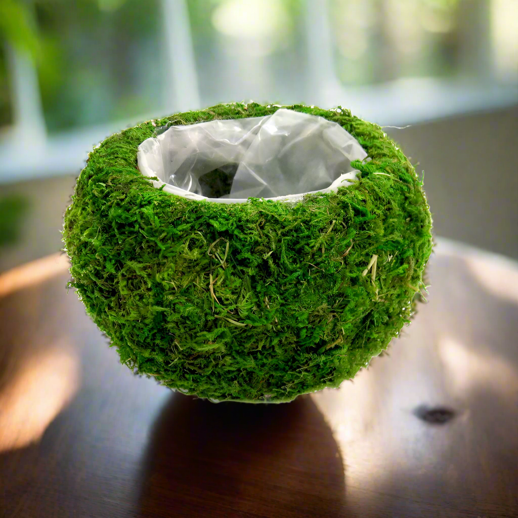 Product Description: Zara Ball Vase
Add a touch of greenery and freshness to any room with the beautiful Zara Ball Vase. This stunning, waterproof vase features a moss-covered exterior and a lined plastic interior, perfect for displaying small plants, flowers, or branches.