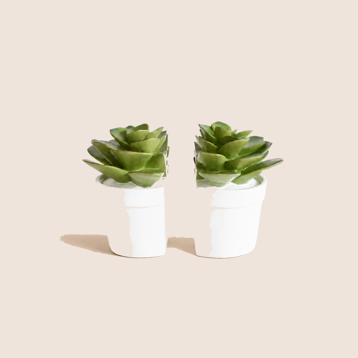 Set of 2 Succulent Book Ends 15X15cm - catalogue view