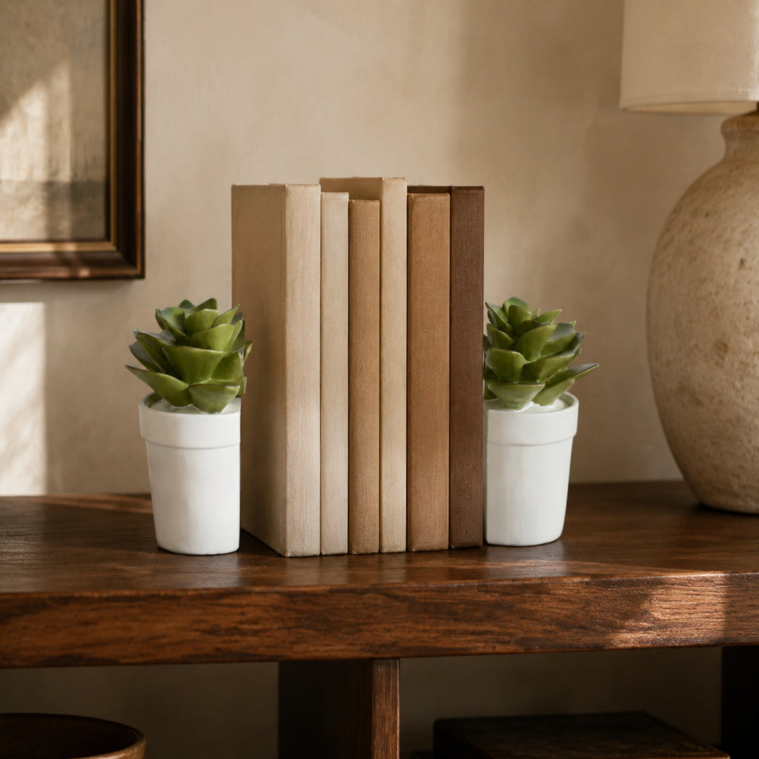 Set of 2 Succulent Book Ends 15X15cm - lifestyle view