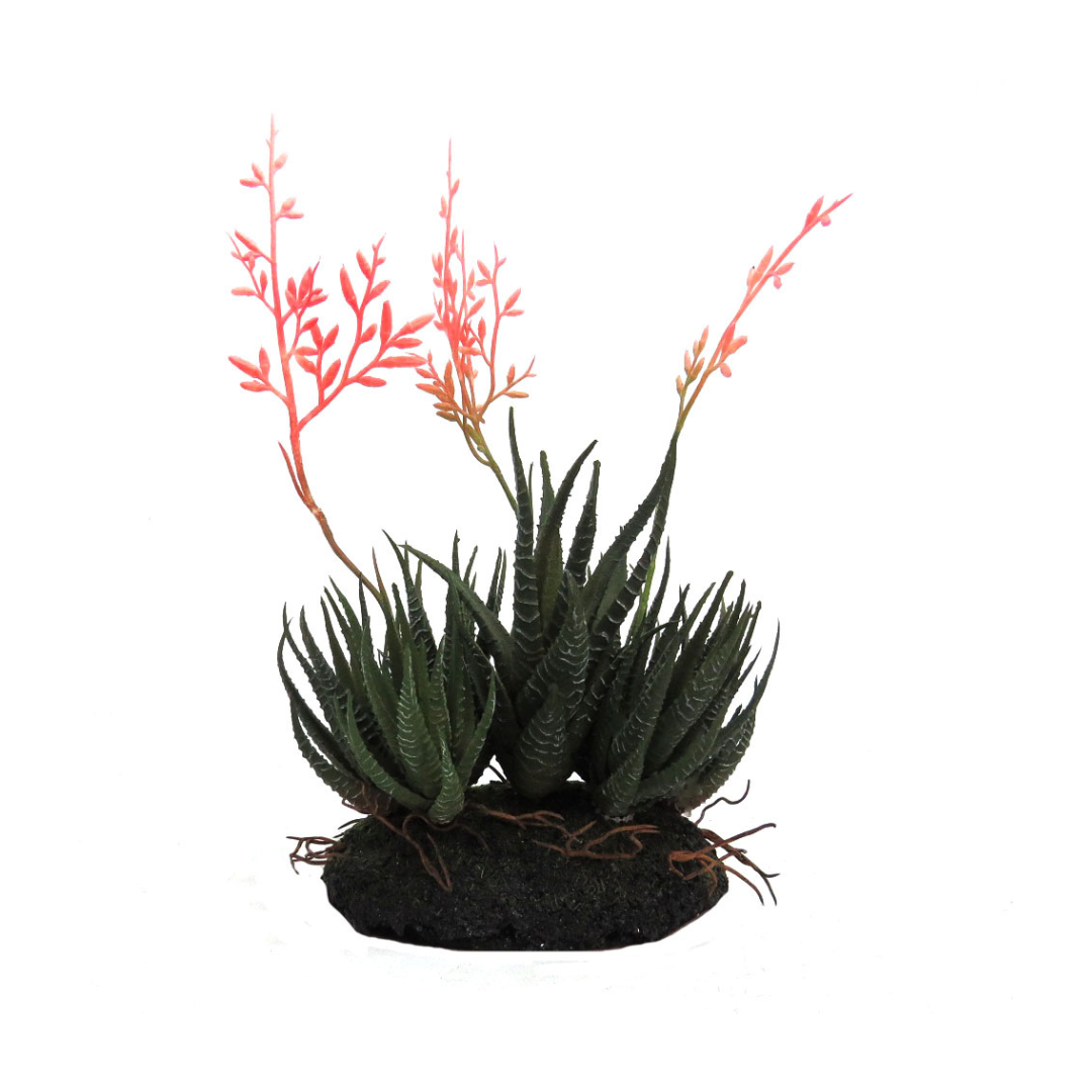 Aloe Community: Stunning Artificial Arrangement
Elevate your space with the breathtaking Aloe Community, a meticulously crafted artificial arrangement featuring:
7 exquisite aloe plants, with 3 flowering stems
Moss-covered decorative base showcasing aloe roots
Natural, lifelike beauty that's maintenance-free
Product Details:
Size: 29cmH x 16cmW
Material: High-quality artificial plants and materials
Color: Realistic, earthy tones
Perfect for:
Indoor decor: living room, office, or bedroom
Outdoor spaces