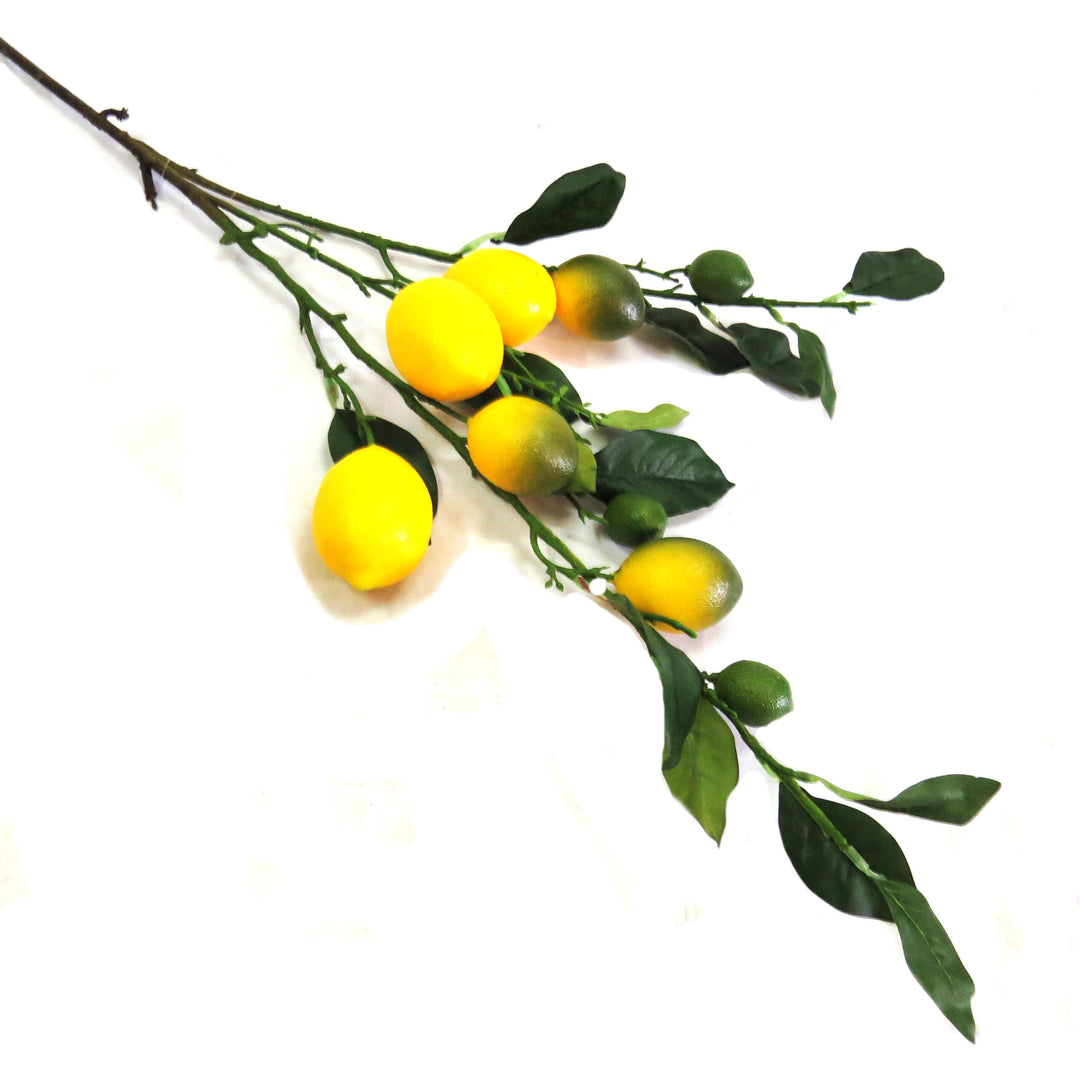Lemon Branch: Bring the Outdoors In
Add a burst of citrusy freshness to your home decor with our vibrant Lemon Branch. Measuring 75cm in length, this artificial branch is the perfect way to introduce a natural touch to any room.
Botanical Beauty