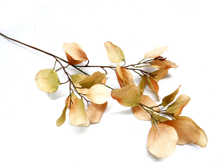 Eucalyptus Natalia - Timeless Elegance in Every Leaf!
Elevate your space with the breathtaking Eucalyptus Natalia, featuring:
78cm long stem, perfect for making a statement
30 lifelike, artificial leaves that mimic nature's beauty
Unrivaled construction, ensuring a stunning addition to your decor
Benefits: