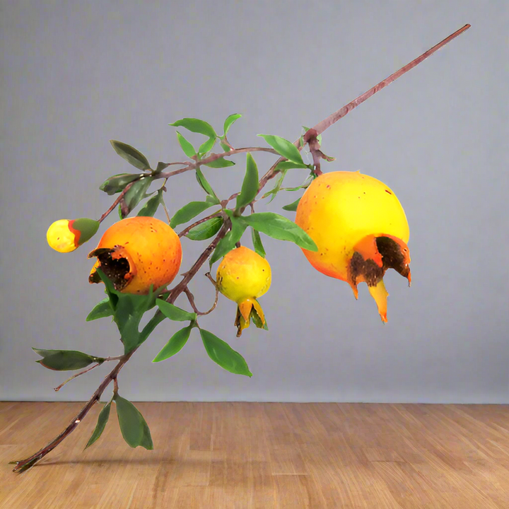 Product Description: Pomegranate Red
Add a pop of color to your space with this stunning artificial Pomegranate Red stem. Featuring a variety of sizes, including a large, medium, small, and developing bud, this decorative accent is perfect for any home or office.