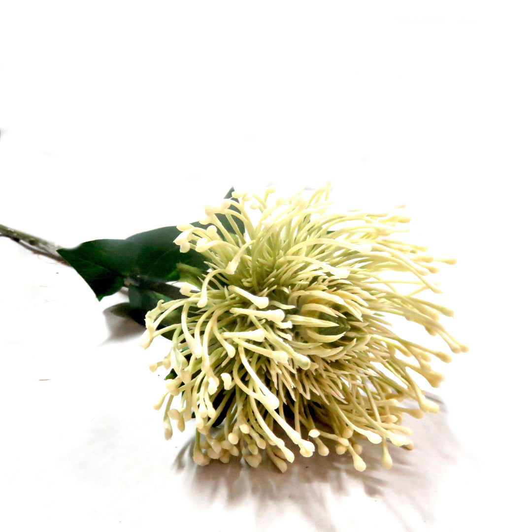 White Pincushion Artificial Plant
As a pincushion protea, the White Pincushion boasts generous proportions, with a 73cm stem and a large, full flower head that measures 11cm in diameter. Its beautiful off-white shades make for a truly spectacular and unique addition to any floral arrangement.