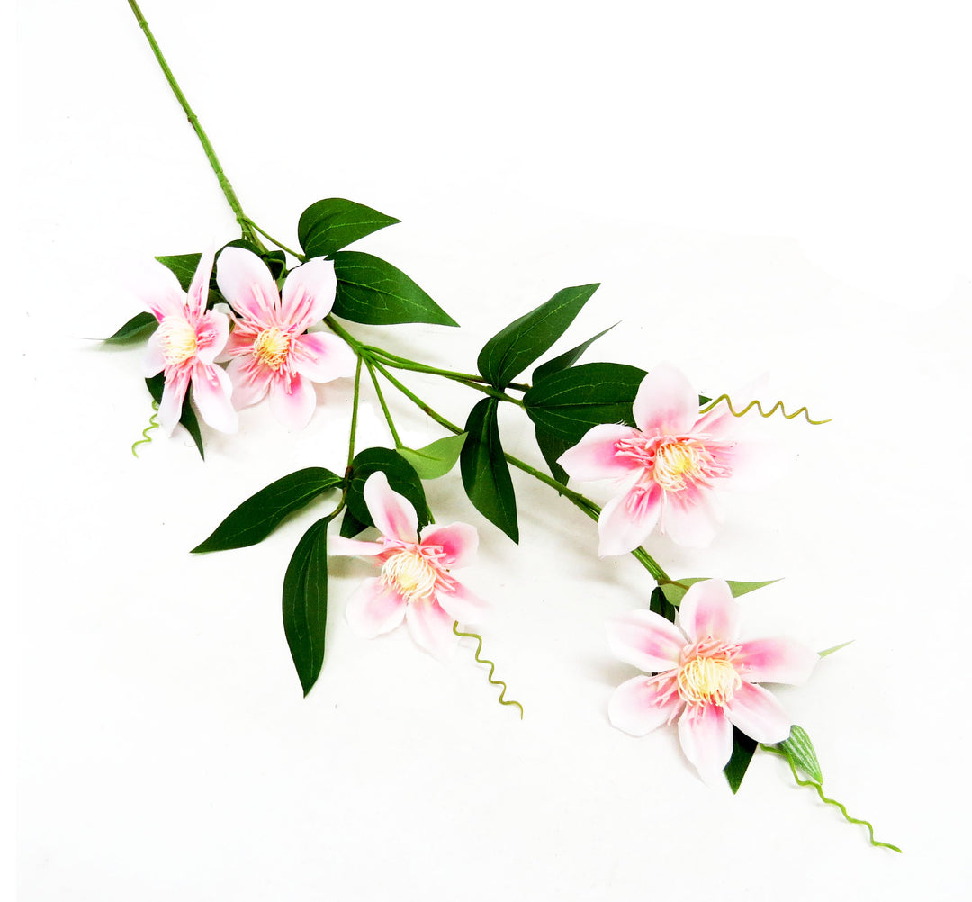 Clematis Soft Pink
Delicate Artificial Flower
Adorn your space with the beautiful Clematis Soft Pink. This stunning artificial flower features:
Lovely soft pink blooms
Realistic green leaves
Perfectly crafted stem