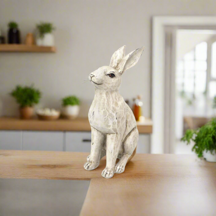Bunnybun - Elegant Decorative Rabbit
Meet Bunnybun, an exquisitely crafted rabbit figurine that adds a touch of elegance to any home.
Timeless Design
Height: 29 cm
Sleek, beautiful design
Available in a range of elegant colors
Exceptional Craftsmanship
Superior quality materials
Excellent attention to detail
