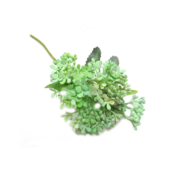 Green lilac stem