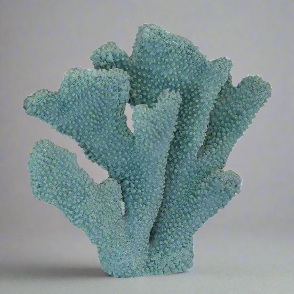 Coral Ear Blue