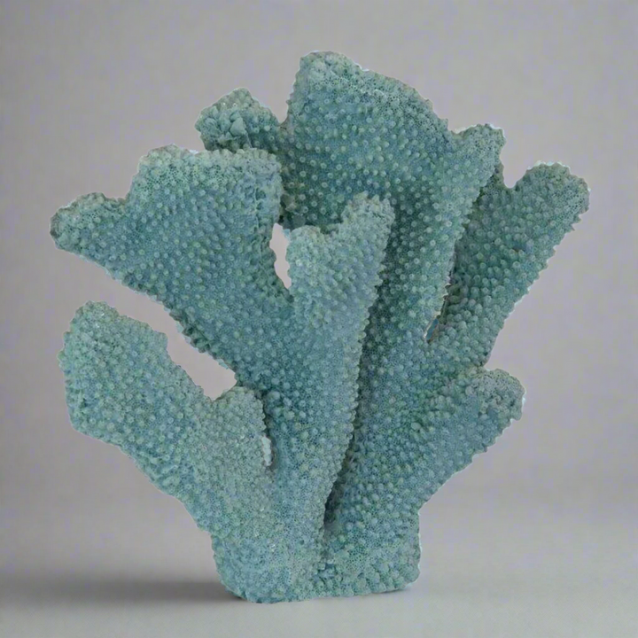 Coral Ear Blue