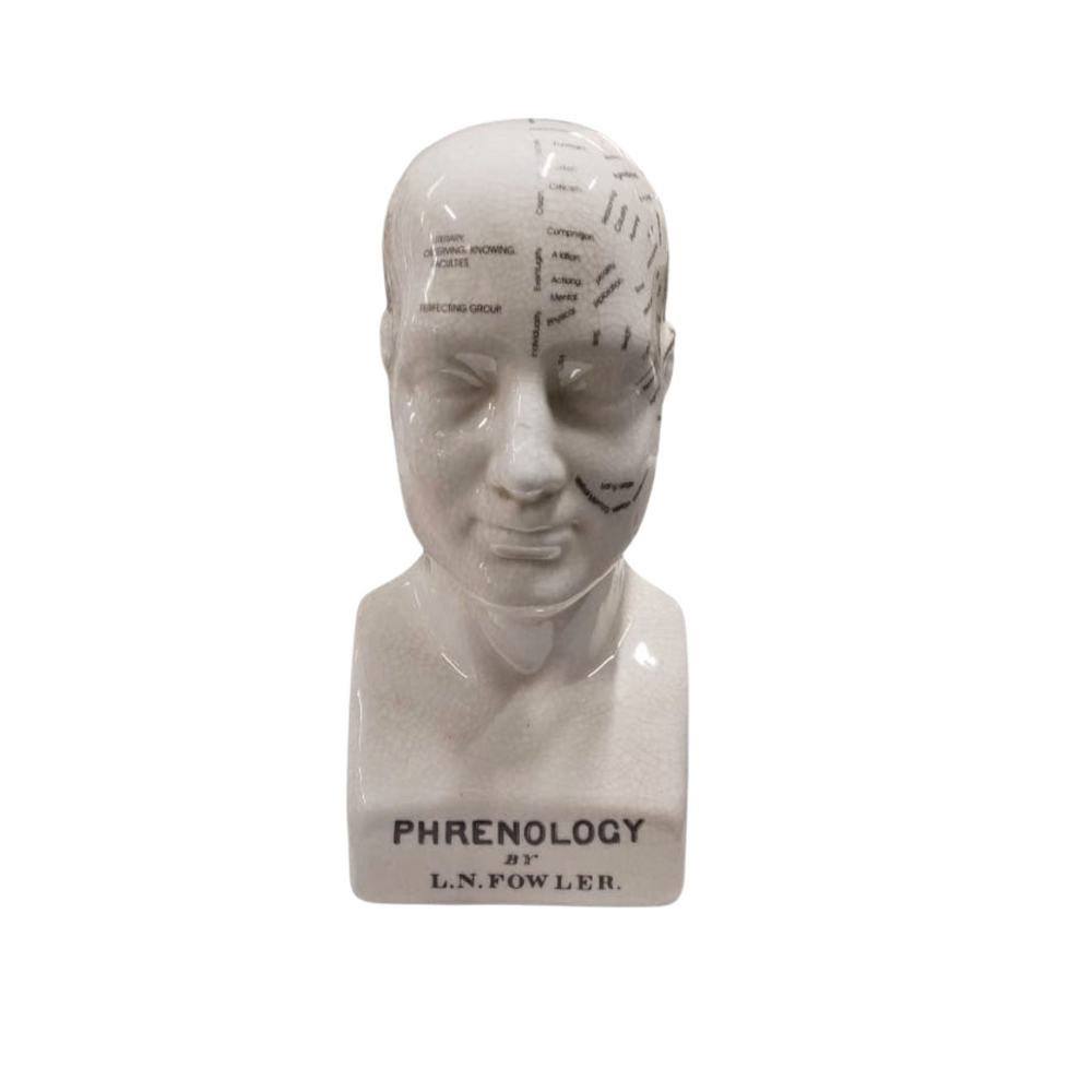 Crania 25x12cm
Elevate your home decor with the stunning Ceramic Human Head Decor, expertly crafted by Unique Boys. This piece is designed as a phrenology head, perfect for those interested in the history of psychology and brain function. Unique Boys.