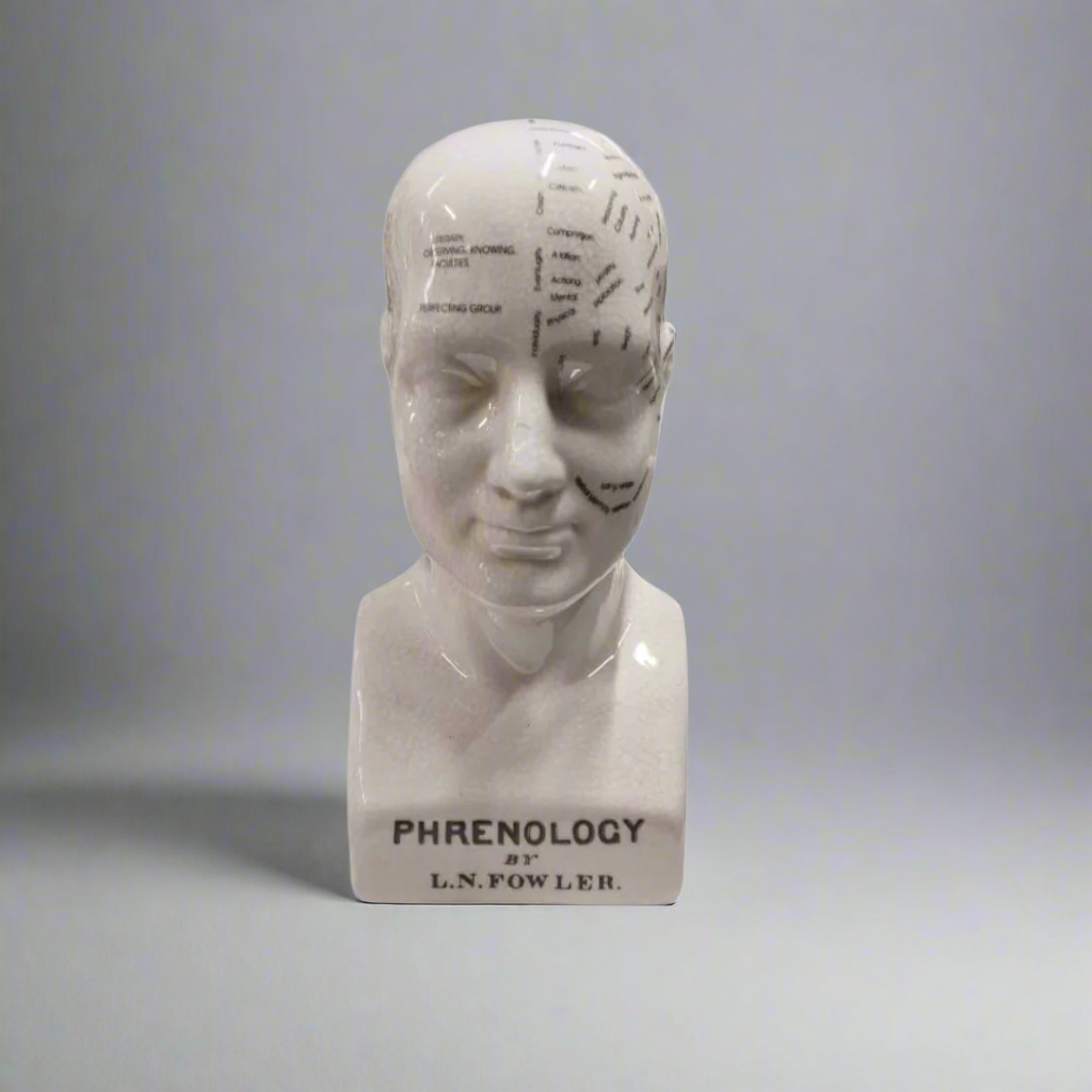 Crania 25x12cm
Elevate your home decor with the stunning Ceramic Human Head Decor, expertly crafted by Unique Boys. This piece is designed as a phrenology head, perfect for those interested in the history of psychology and brain function. Unique Boys.