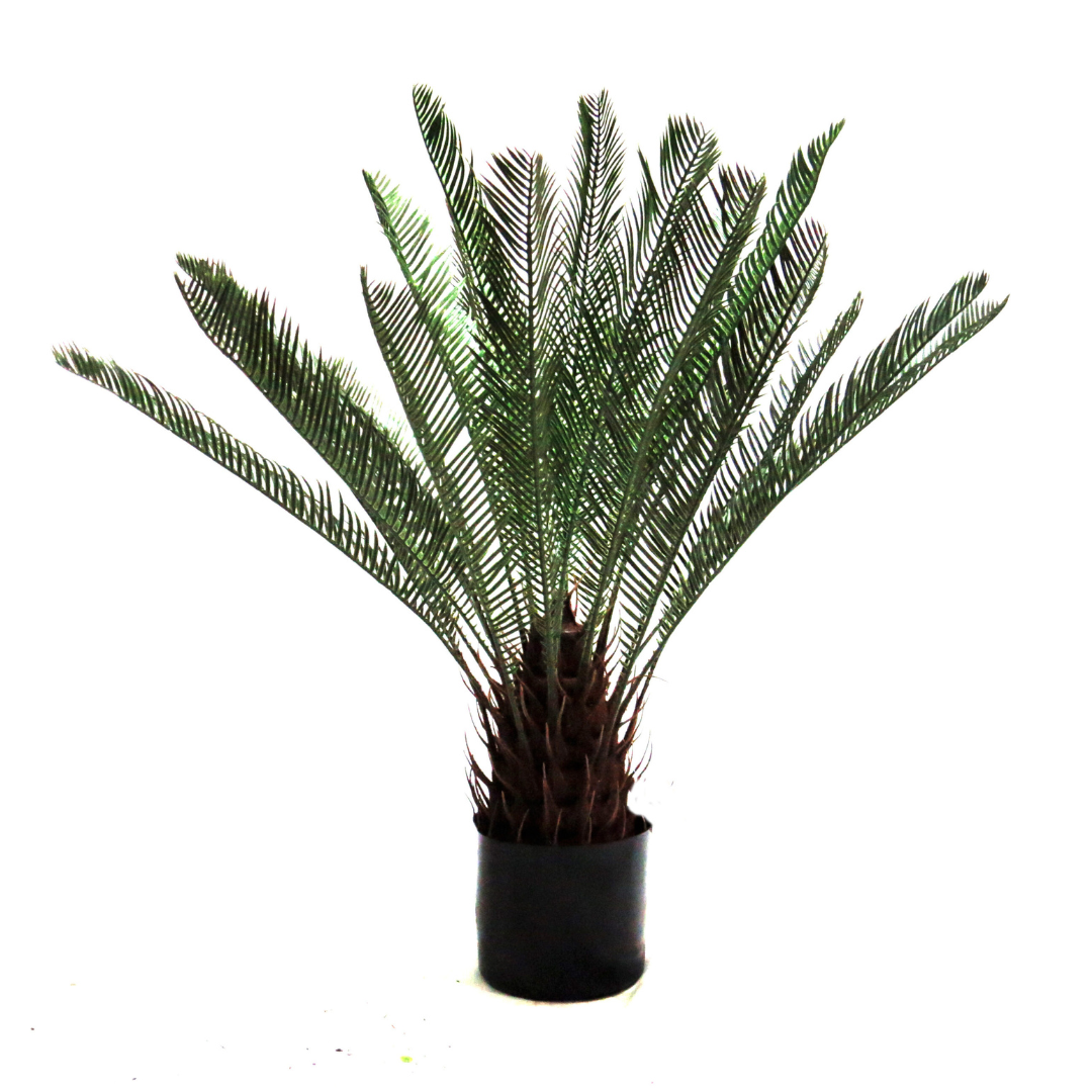 Cycad Artificial Plant - A Touch of Tropical Elegance!
Bring a piece of the tropics into your home or office with our stunning 66cm high Cycad artificial plant! This beautifully crafted piece boasts:
24 expertly constructed and colored leaves, replicating a mature plant
A realistic trunk showcasing previous growth points, adding to its authenticity
A sturdy, weighted pot, ensuring stability and ease of display
Perfect for Any Space
