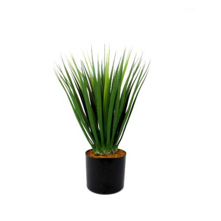 Dracaena - A Modern and Dramatic Touch of Greenery!
Elevate your space with the sleek and stylish Dracaena plant!
Stands tall at 52cm with a thick and strong stem
Firm, wide blades create a dramatic, eye-catching shape
Perfect for adding a touch of modern greenery to any room
Benefits:
Low maintenance, no watering or pruning required
Adds a touch of natural beauty to any room
Trendy and stylish, staying forever in style
Get Ready to Make a Statement!
Size: 52cmH
Delivery: 5 to 7 working days
Unique Boys .