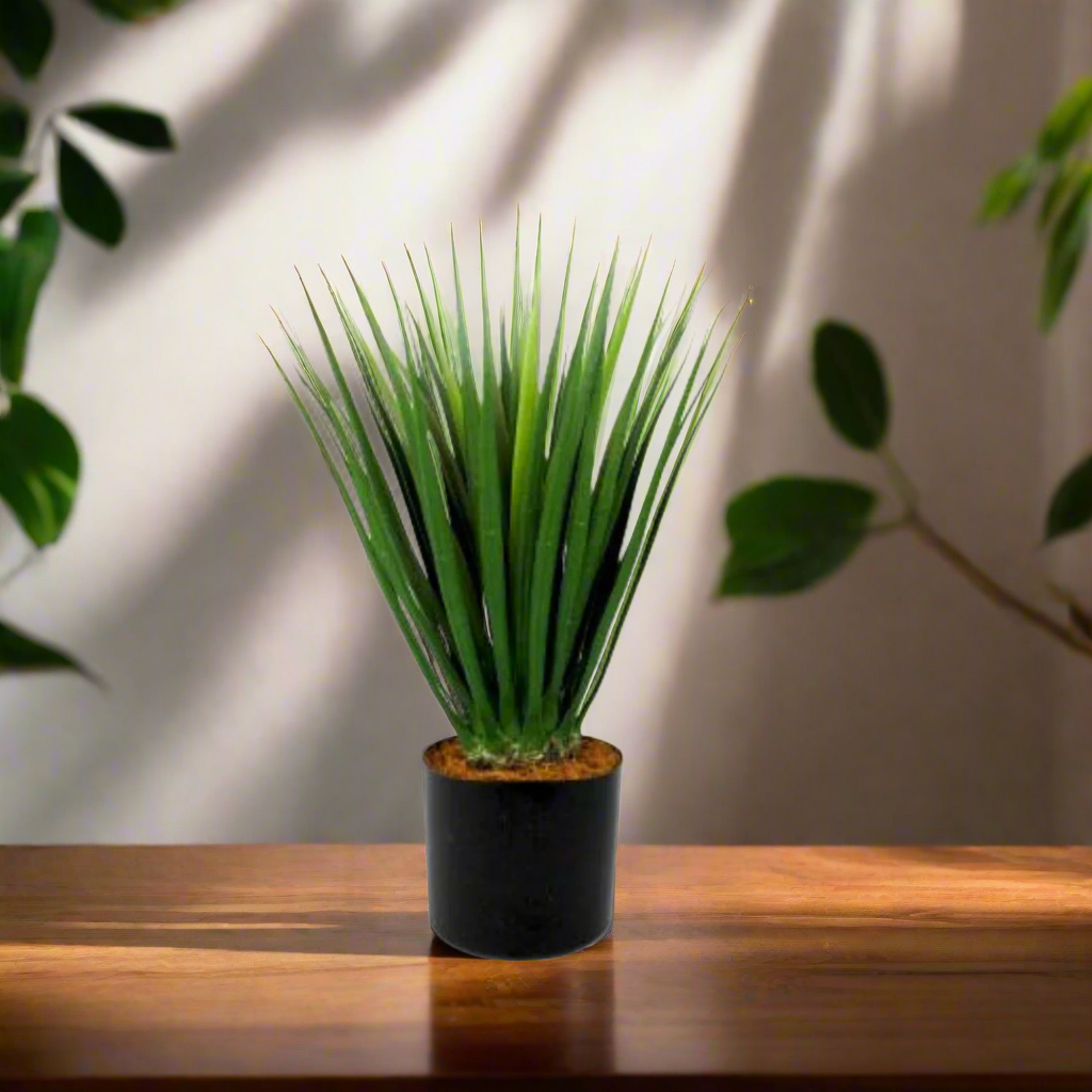 Dracaena - A Modern and Dramatic Touch of Greenery!
Elevate your space with the sleek and stylish Dracaena plant!
Stands tall at 52cm with a thick and strong stem
Firm, wide blades create a dramatic, eye-catching shape
Perfect for adding a touch of modern greenery to any room
Benefits:
Low maintenance, no watering or pruning required
Adds a touch of natural beauty to any room
Trendy and stylish, staying forever in style
Get Ready to Make a Statement!
Size: 52cmH
Delivery: 5 to 7 working days
Unique Boys - 