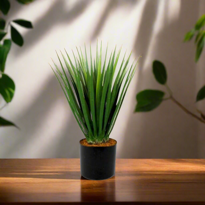 Dracaena - A Modern and Dramatic Touch of Greenery!
Elevate your space with the sleek and stylish Dracaena plant!
Stands tall at 52cm with a thick and strong stem
Firm, wide blades create a dramatic, eye-catching shape
Perfect for adding a touch of modern greenery to any room
Benefits:
Low maintenance, no watering or pruning required
Adds a touch of natural beauty to any room
Trendy and stylish, staying forever in style
Get Ready to Make a Statement!
Size: 52cmH
Delivery: 5 to 7 working days
Unique Boys - 