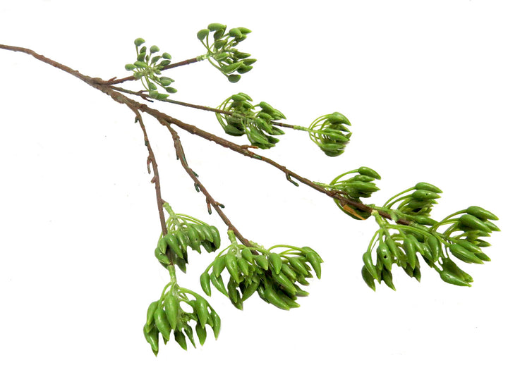 Product Details: Pollen Nation Plant
Description
Elevate your space with the stunning Pollen Nation Plant, featuring 13 blooming green "seedheads" on multiple stems. Standing 90cm tall, this artificial greenery plant brings a touch of natural beauty indoors and pairs perfectly with mixed green leaves for a breathtaking display.
