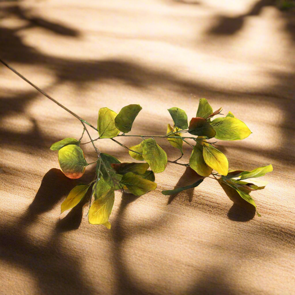 Eucalyptus Chartreuse - Vibrant Beauty in Every Leaf!

Add a burst of color to your space with our stunning Eucalyptus Chartreuse stem!
Measuring 78cm in length, this artificial stem features 30 meticulously crafted leaves in a vibrant hue
Perfect for adding a pop of color to any arrangement or decor
Artificial plants are low maintenance, no watering or pruning required
Benefits:
Trendy and stylish, staying forever in style
Durable and long-lasting, with a 78cm length
Easy to care for, no fuss or mess