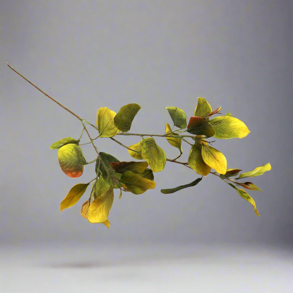 Eucalyptus Chartreuse - Vibrant Beauty in Every Leaf!

Add a burst of color to your space with our stunning Eucalyptus Chartreuse stem!
Measuring 78cm in length, this artificial stem features 30 meticulously crafted leaves in a vibrant hue
Perfect for adding a pop of color to any arrangement or decor
Artificial plants are low maintenance, no watering or pruning required
Benefits:
Trendy and stylish, staying forever in style
Durable and long-lasting, with a 78cm length
Easy to care for, no fuss or mess