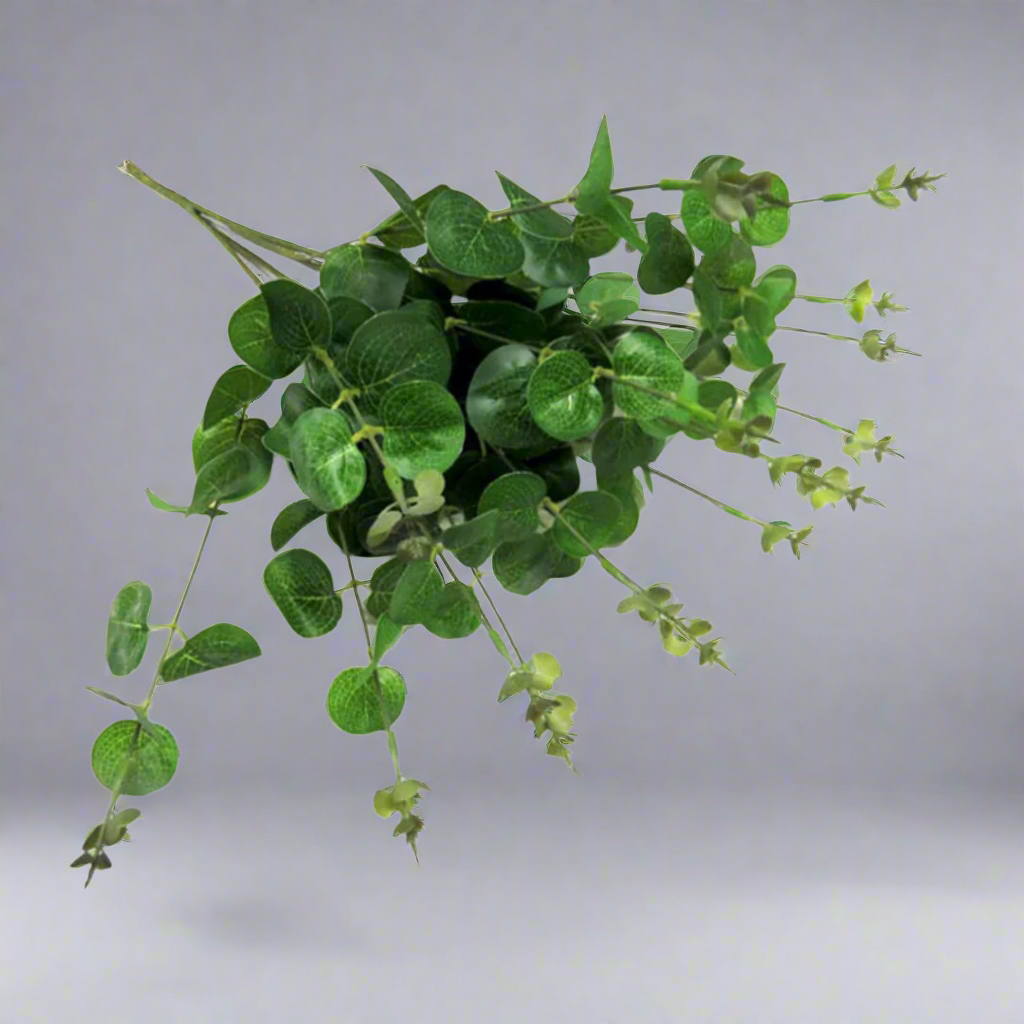 Eucalyptus Magnifica - A Smoky Twist on Timeless Elegance!
Introducing Eucalyptus Magnifica, a stunning artificial plant that adds a touch of greenery with a smoky twist to any space!
50cmL stems, each featuring 4 main branches and 160 leaves, creating a full and lush appearance
Growth tips add an extra dimension, making this plant a unique and elegant addition
Artificial plants are low maintenance, no watering or pruning required
