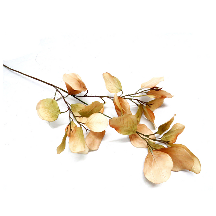 Eucalyptus Natalia - Timeless Elegance in Every Leaf!
Elevate your space with the breathtaking Eucalyptus Natalia, featuring:
78cm long stem, perfect for making a statement
30 lifelike, artificial leaves that mimic nature's beauty
Unrivaled construction, ensuring a stunning addition to your decor
Benefits:
Brings a touch of elegance and nature to any room
Artificial plants are low maintenance, no watering or pruning required
Trendy and stylish, staying forever in style
Get Ready to Fall in Love!
Size: 78cmL