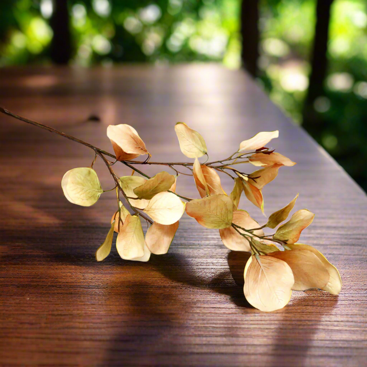 Eucalyptus Natalia - Timeless Elegance in Every Leaf!
Elevate your space with the breathtaking Eucalyptus Natalia, featuring:
78cm long stem, perfect for making a statement
30 lifelike, artificial leaves that mimic nature's beauty
Unrivaled construction, ensuring a stunning addition to your decor
Benefits: