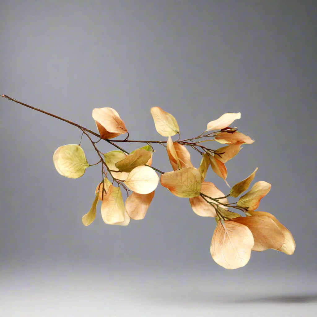 Eucalyptus Natalia - Timeless Elegance in Every Leaf!
Elevate your space with the breathtaking Eucalyptus Natalia, featuring:
78cm long stem, perfect for making a statement
30 lifelike, artificial leaves that mimic nature's beauty
Unrivaled construction, ensuring a stunning addition to your decor
Benefits: