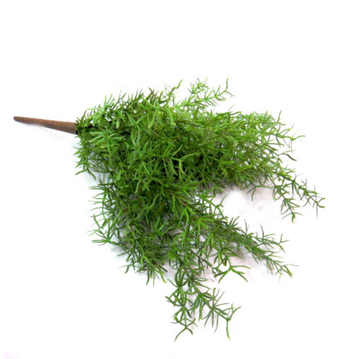 Exaltata Asparagi - A Touch of Nature's Elegance!
Introducing our Exaltata Asparagi plant, a stunning artificial plant that brings the beauty of nature indoors!
Total length: 45cm
18 realistic and delicately wired fronds that can be shaped to your desire
Sensational green color and real touch greenery for an authentic look
Benefits:
Perfect for home or office decor, adding a touch of elegance and serenity
Artificial plants are low maintenance, no watering or pruning required
Trendy and stylish, staying fore