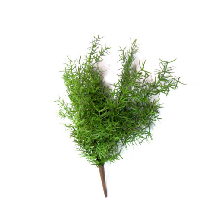 Exaltata Asparagi - A Touch of Nature's Elegance!
Introducing our Exaltata Asparagi plant, a stunning artificial plant that brings the beauty of nature indoors!
Total length: 45cm
18 realistic and delicately wired fronds that can be shaped to your desire
Sensational green color and real touch greenery for an authentic look
Benefits:
Perfect for home or office decor, adding a touch of elegance and serenity
Artificial plants are low maintenance, no watering or pruning required
Trendy and stylish, staying fore