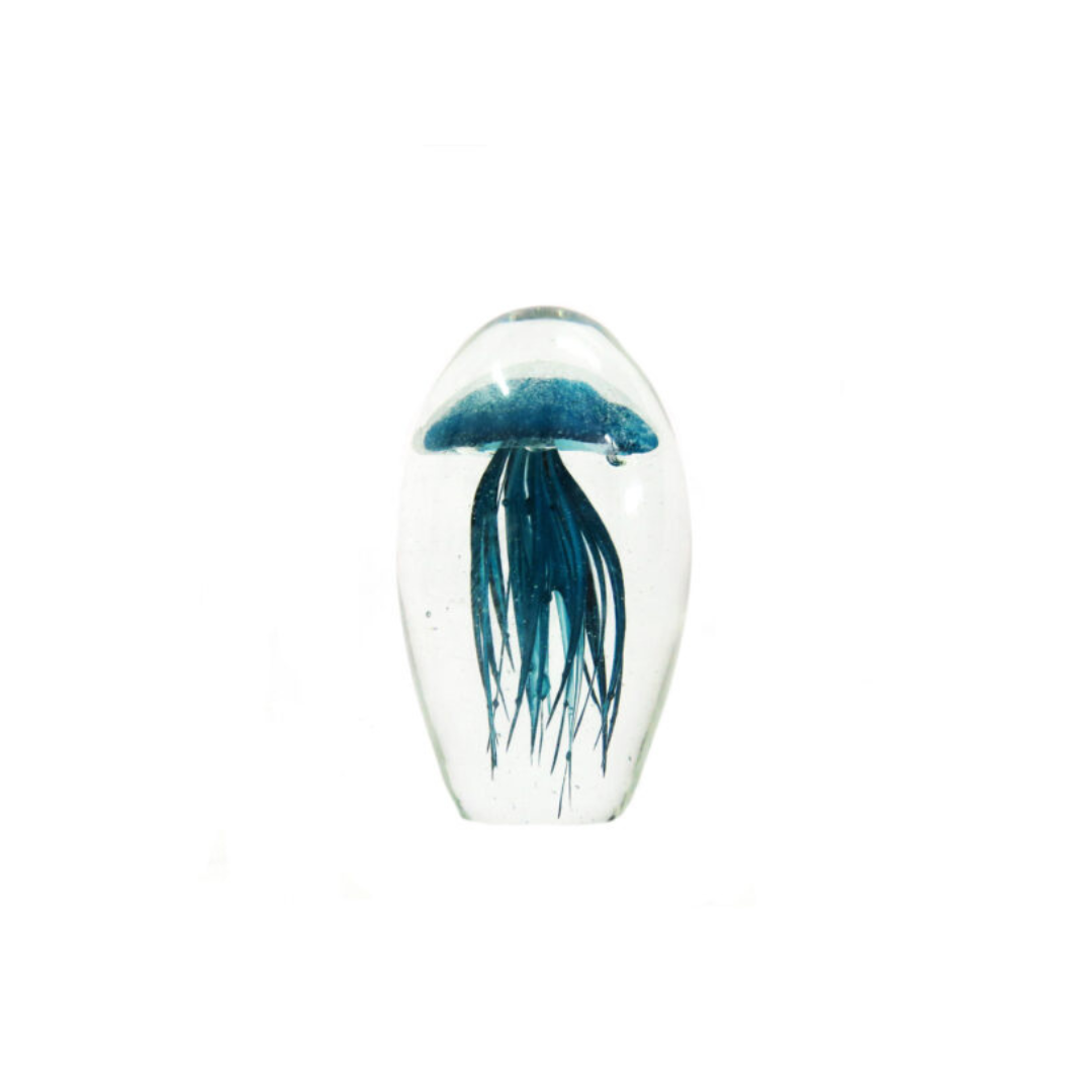 Palau 12cm
Elevate your space with the breathtaking Palau 12cm!
Key Features:
Expert Craftsmanship: Handmade with heavy and clear glass
Unique Design: Captivating peacock blue jellyfish shape with intricate tentacles
Compact Size: Stands at 12.5cm in height, 8cm in diameter, and 23cm in circumference