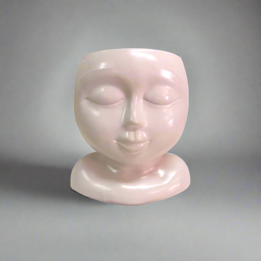 Elevate Your Space with the Modern Face Up Pot
Add a touch of modern style to your home with the sleek Face Up Pot. This matte white pot is designed to showcase your favorite plants and flowers in a simple yet elegant way.
Minimalist Design
The Face Up Pot features a minimalist design that blends seamlessly into any home decor. Its neutral color ensures that it complements any interior, making it the perfect accent piece for any living space.
Perfect Size
With dimensions of 14.5 x 13.5 x 16.5, 