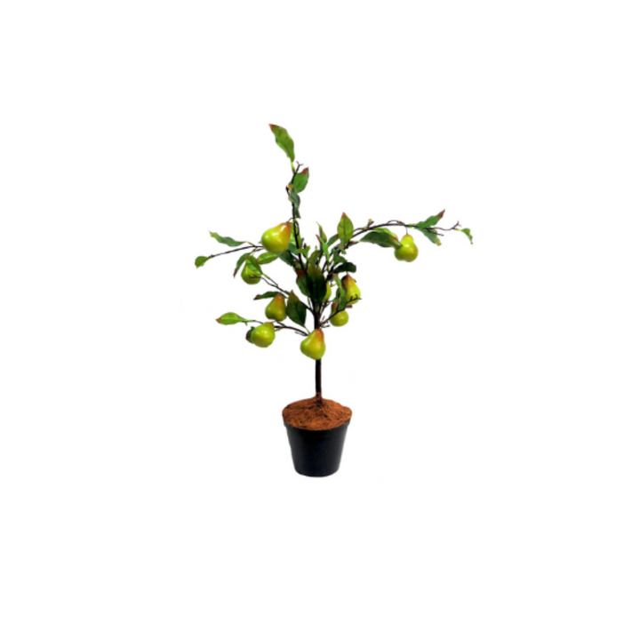 Enchanting Fantasy Pear Tree
Elevate your space with this breathtakingly realistic fantasy pear tree. Standing tall at 70cm, its lush, vibrant foliage and delicate pear-shaped fruits will transport you to a whimsical world.
Details
Size: 70cm height x 62cm width
Material: High-quality artificial plants for a lifelike appearance
Style: Timeless, trendy decor that adds a touch of magic to any room
Unique Boys Promise
At Unique Boys, we're passionate about helping you create spaces that inspire and delight. 