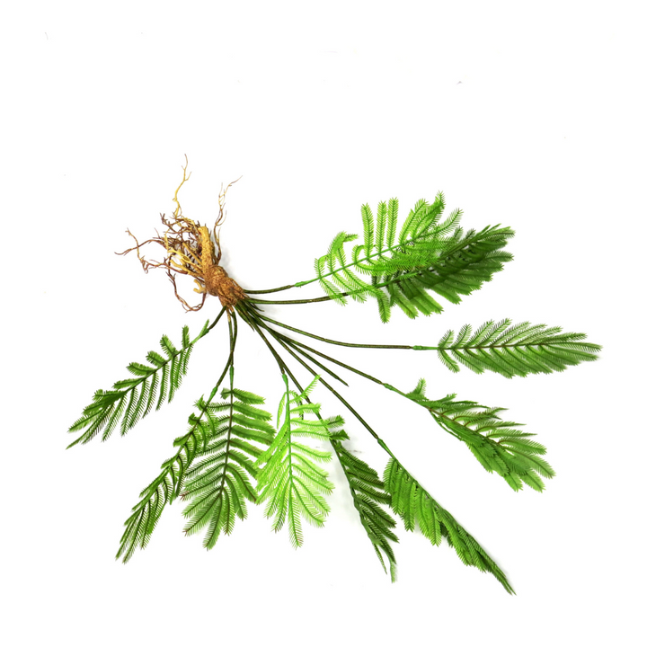 Fern Fanclub Rooted Artificial Plant
Add a touch of natural elegance to your space with the Fern Fanclub Rooted artificial plant. Standing at 51cm, this remarkably realistic piece features intricate roots and lush greenery, bringing the beauty of nature indoors without the hassle of maintenance.
Details
Size: 51cm length
Material: High-quality materials for a lifelike appearance
Style: Timeless, low-maintenance decor perfect for busy homes or offices