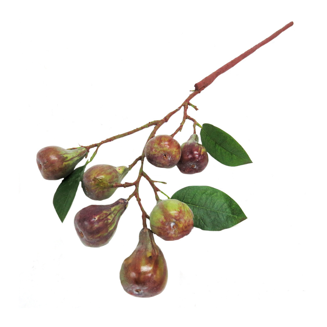 Fig Branch Artificial Plant
Add a touch of luscious elegance to your space with the stunning Fig Branch artificial plant. This glorious stem boasts 7 fully developed figs and 2 tiny developing buds, creating a breathtakingly realistic display. Perfect for adding a decorative flourish to any room, this beautiful fig branch is a true showstopper.
Details
Size: 76cm length
Material: High-quality artificial plants for a remarkably realistic appearance
Style: Elegant, decorative decor perfect for adding a touch 