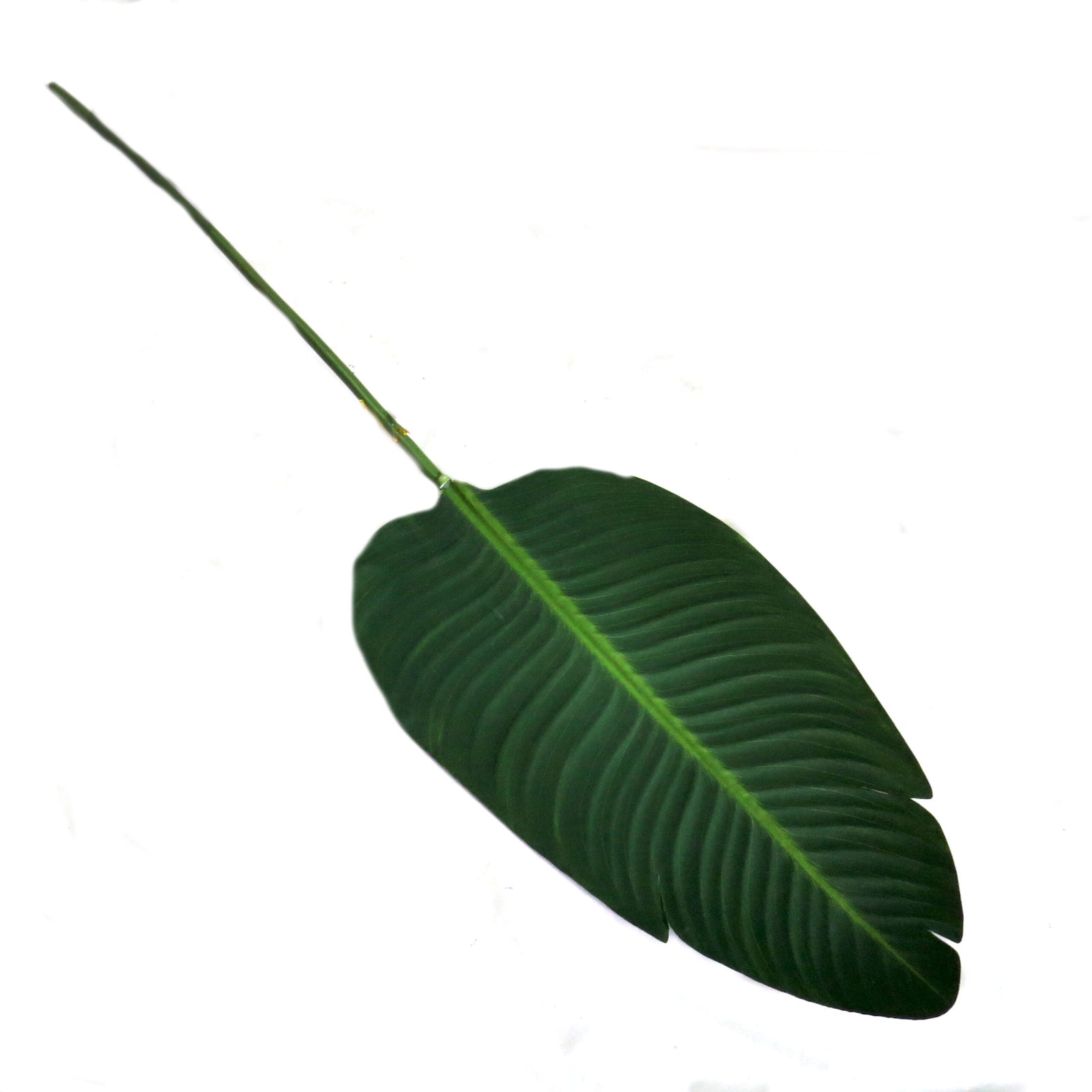 Giant Bird Of Paradise Leaf - Natural Elegance
Add a touch of natural beauty and ambiance to your space with the stunning Giant Bird Of Paradise Leaf. Measuring 91cm in length, this impressive, life-like leaf is perfect for enhancing your home or garden décor.www.uniqueboys.co.za