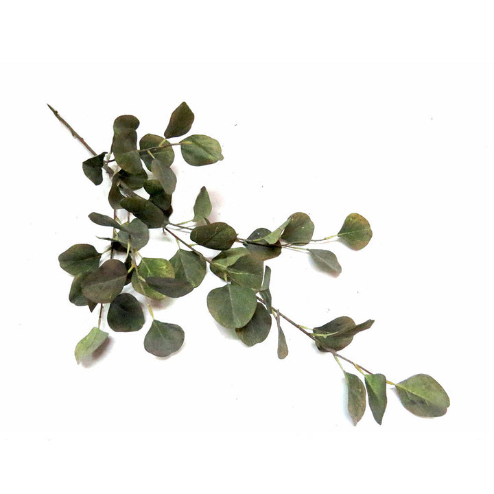 Grey Mist Euca Leaf Artificial Plant
Bring the outdoors in with the stunning Grey Mist Euca Leaf Artificial Plant. Measuring 93cm in length, this beautiful plant features 47 luscious leaves on a single stem, providing a natural and decorative touch to your home or office.
