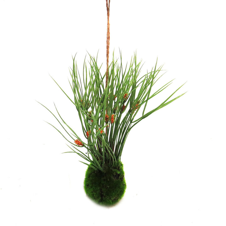 Kraanzkloof Reed Ball by Unique Boys
Bring a touch of nature into your space with our expertly crafted Kraanzkloof Reed Ball, a unique and beautifully designed piece.
Breathtaking Details