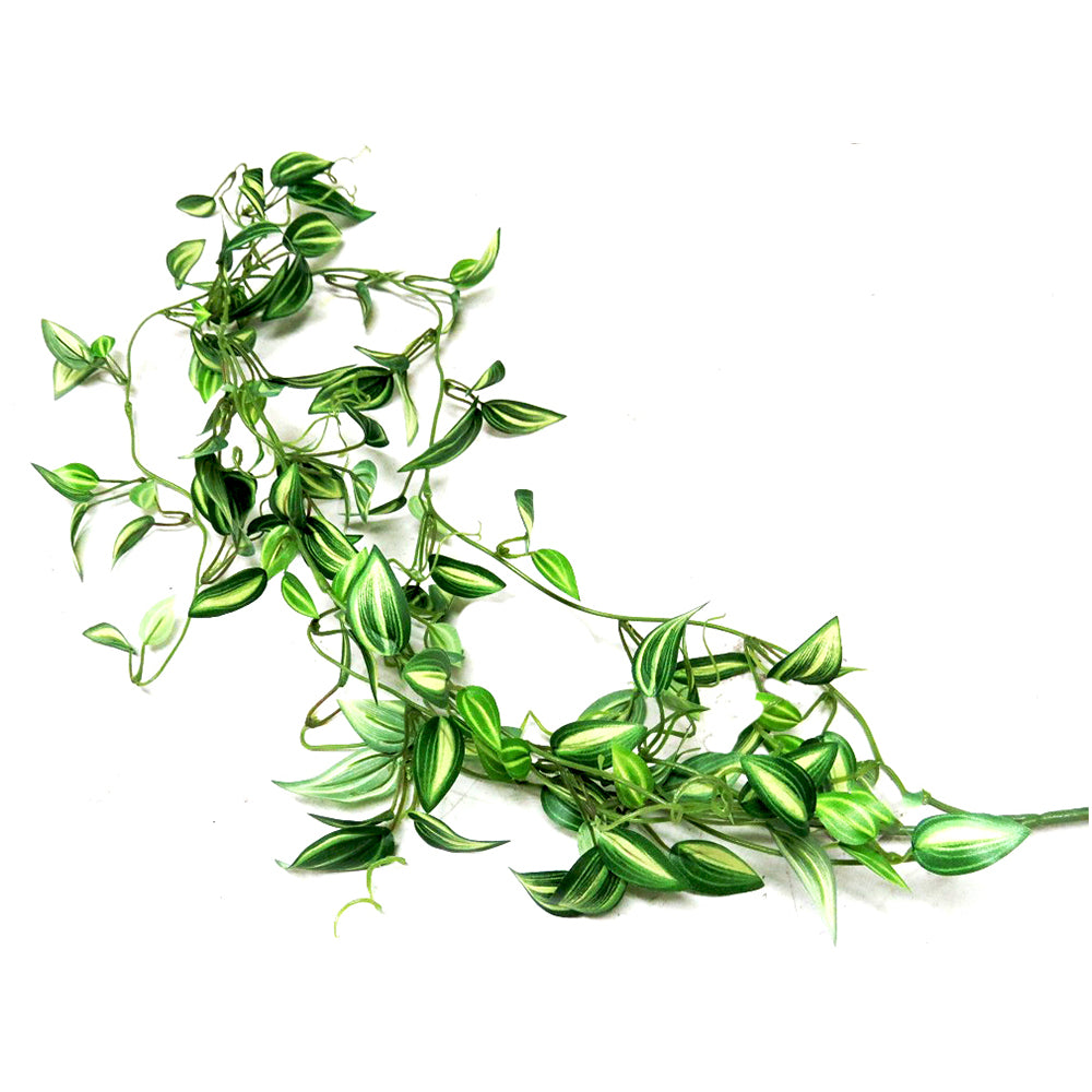 Product Description: Zebrina Vine
Elevate your home decor with the stunning Zebrina Vine, a beautiful artificial plant that brings a touch of nature indoors. Featuring delicate variegated leaves and realistic 3D printed tendrils, this gorgeous vine is perfect for adding a natural and elegant touch to any room.