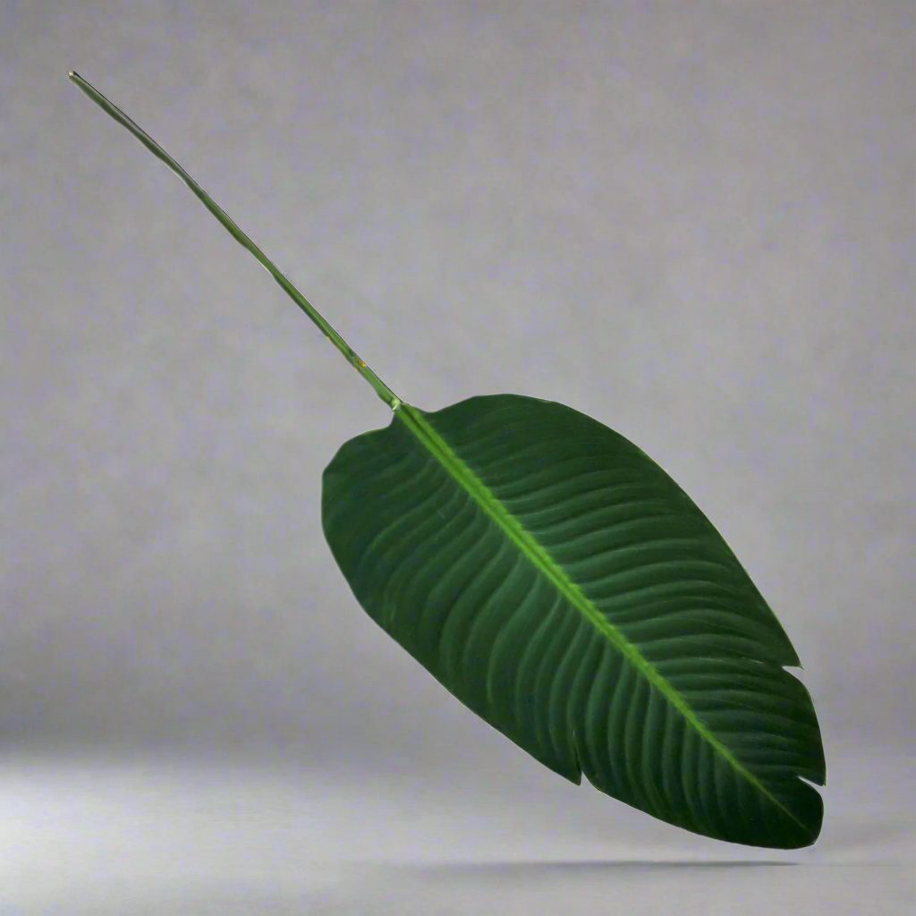 Giant Bird Of Paradise Leaf - Natural Elegance
Add a touch of natural beauty and ambiance to your space with the stunning Giant Bird Of Paradise Leaf. Measuring 91cm in length, this impressive, life-like leaf is perfect for enhancing your home or garden décor.www.uniqueboys.co.za