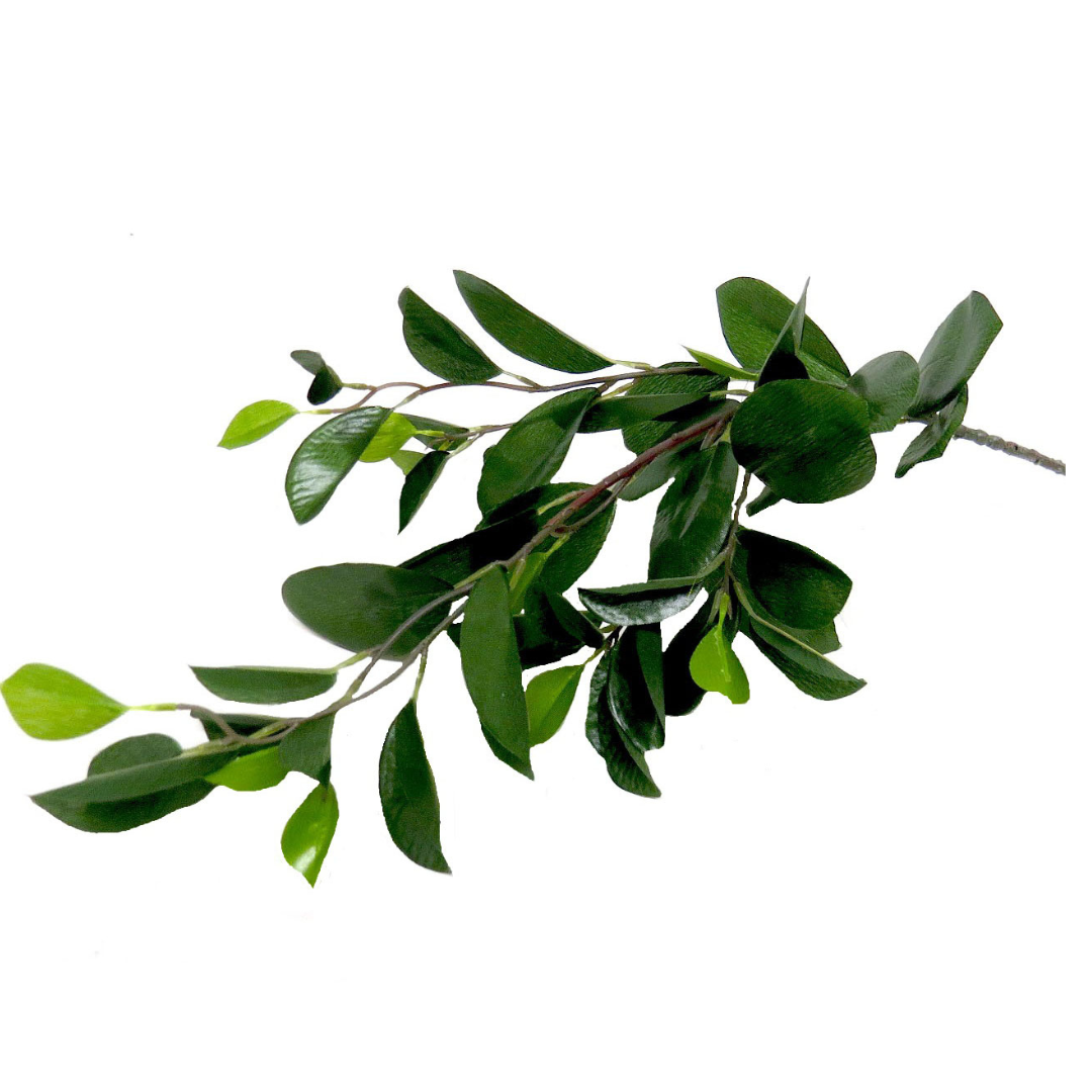 Glossybunch Artificial Plant
Bring the beauty of nature indoors with the Glossybunch artificial plant, a stunning piece that adds a touch of elegance to any space. Measuring 60cm in length, this gorgeous plant is perfect for decorative rooms, offices, or public areas. www.uniqueboys.co.za