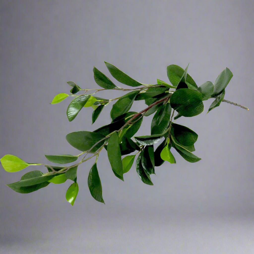 Glossybunch Artificial Plant
Bring the beauty of nature indoors with the Glossybunch artificial plant, a stunning piece that adds a touch of elegance to any space. Measuring 60cm in length, this gorgeous plant is perfect for decorative rooms, offices, or public areas. www.uniqueboys.co.za