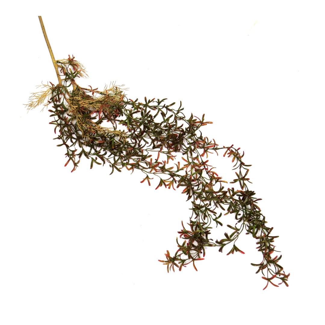 Greenstrings Rooted Vine
Bring the serenity of nature indoors with our stunning Greenstrings Rooted Vine. Standing 103cm tall, this artificial plant adds a touch of greenery to any space, creating a peaceful and natural ambiance. Its incredibly realistic appearance will make you forget it's not real!
Details
Size: 103cmL
Material: High-quality artificial materials
Realistic appearance with detailed leaves and stems
Perfect For
Adding a touch of greenery to any room
Creating a peaceful and natural ambiance
