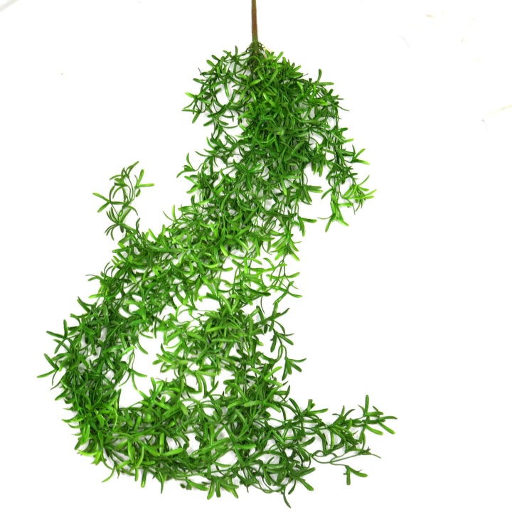 Pin Wheel Vine
Elevate your space with the stunning Pin Wheel Vine!
Key Features:
Generous Length: 110cm long, providing ample coverage and a visually appealing display
Artificial Plant: No maintenance required, perfect for busy lives
Versatile: Suitable for indoor or outdoor use, enhancing gardens or living spaces.