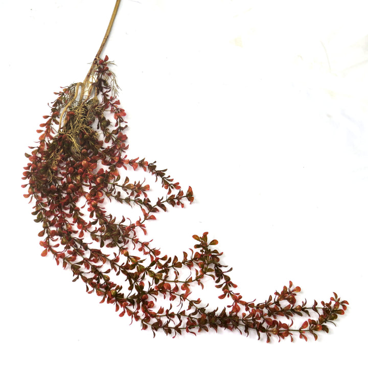 Painted Lady Vine
Bring the outdoors in with the stunning Painted Lady Vine!
Key Features:
Artificial Plant: No maintenance required, perfect for busy lives
Delicate Touch: Adds a touch of natural beauty to any room