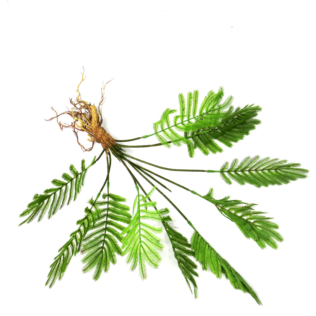 Fern Fanclub Rooted Artificial Plant
Add a touch of natural elegance to your space with the Fern Fanclub Rooted artificial plant. Standing at 51cm, this remarkably realistic piece features intricate roots and lush greenery, bringing the beauty of nature indoors without the hassle of maintenance.
Details
Size: 51cm length
Material: High-quality materials for a lifelike appearance
Style: Timeless, low-maintenance decor perfect for busy homes or offices