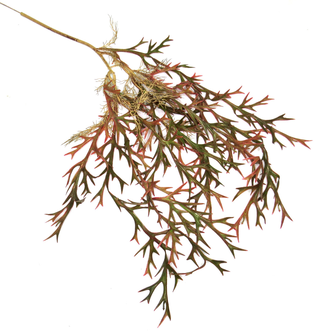 Introducing the Staghorn Paintbox Vine
Vibrant and Versatile Artificial Plant for Your Home or Garden
Add a pop of color to your space with our stunning Staghorn Paintbox Vine. Measuring 110cm in length, this artificial plant is perfect for enhancing the aesthetic of any room or outdoor area.