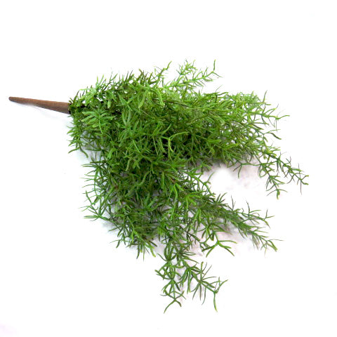 Exaltata Asparagi - A Touch of Nature's Elegance!
Introducing our Exaltata Asparagi plant, a stunning artificial plant that brings the beauty of nature indoors!
Total length: 45cm
18 realistic and delicately wired fronds that can be shaped to your desire
Sensational green color and real touch greenery for an authentic look
Benefits:
Perfect for home or office decor, adding a touch of elegance and serenity
Artificial plants are low maintenance, no watering or pruning required
Trendy and stylish, staying fore