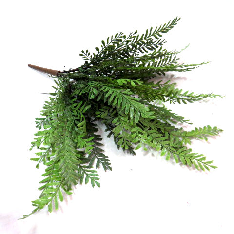 Longifolio Bush: Lush Greenery for Your Space
Bring the beauty of nature indoors with our stunning Longifolio Bush. This artificial fern bush boasts 20 intricately constructed fronds, creating a full and bursting appearance that adds a touch of elegance to any room.
Realistic and Versatile