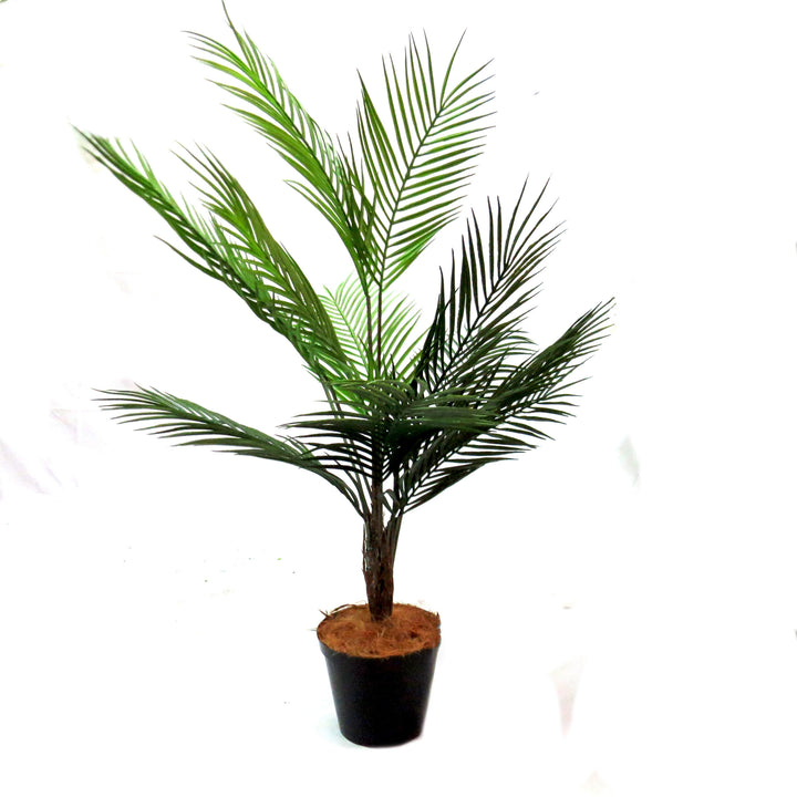 Palm Pinnaculata Artificial Plant

Description

Add a touch of elegance to any space with this high-quality artificial Palm Pinnaculata. Standing at 85cm tall with a 70cm span, its unique trunk details and vividly colored fronds make it a standout piece. Expertly potted in a sturdy and weighted container.